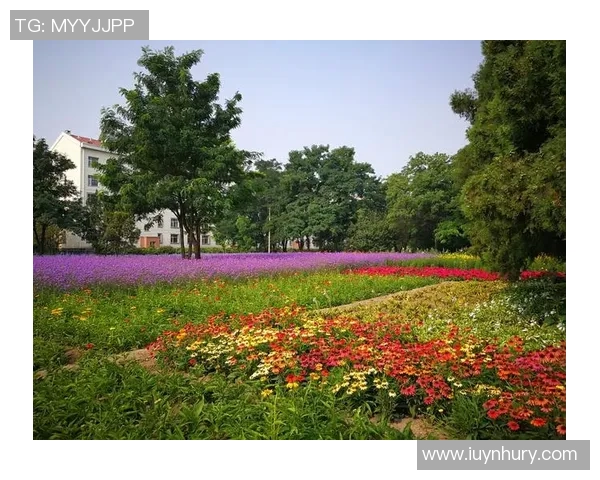 追逐梦想的绿茵场上全是爱与足球明星的青春故事